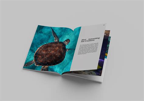 Ocean creatures on Behance