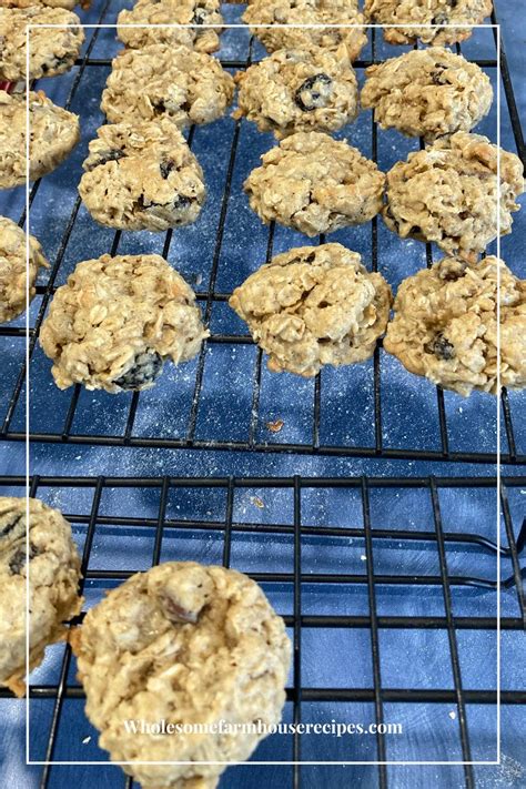 Soft And Chewy Oatmeal Raisin Cookies