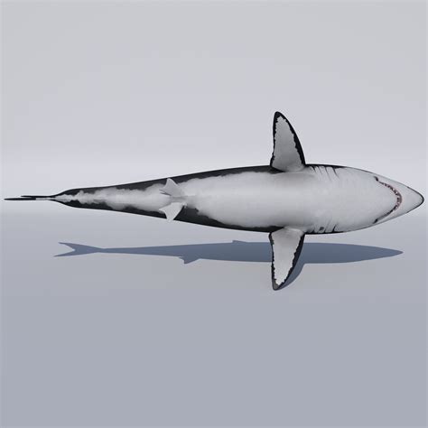 Great White Shark 3D Model $59 - .max .fbx .obj - Free3D