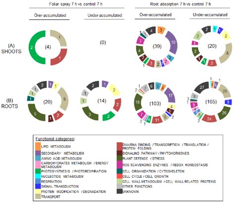 Functional Classification Of Differentially Accumulated Proteins Daps Download Scientific