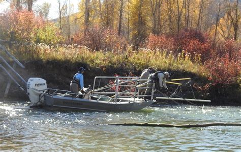 Fish sampling techniques: A look into the world of electrofishing ...