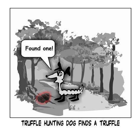 Truffles Hunting Dogs