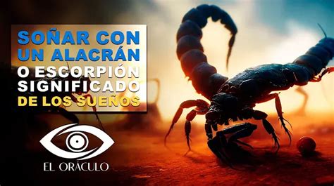 Qué significa soñar con escorpiones o alacranes Interpretación y