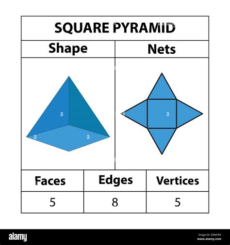 square pyramid nets faces edges vertices geometric figures  set