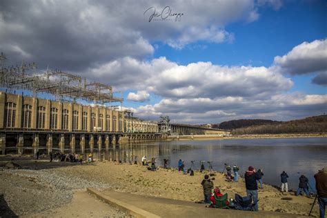 How To Get Spectacular Bald Eagle Photographs At Conowingo Dam