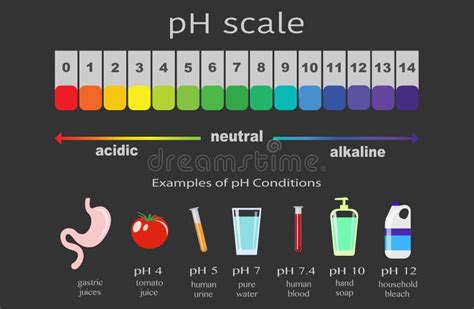 Escala Del Valor De Ph Para Soluciones Cidas Y Alcalinas Balance Base