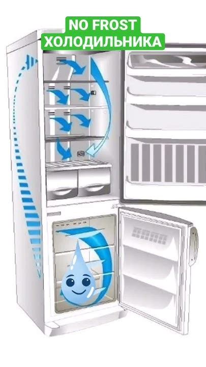 ДРЕНАЖ ХОЛОДИЛЬНИКА С NO FROST - YouTube