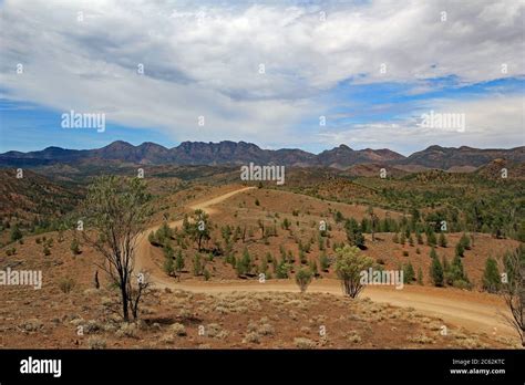 Gravel Track Road Winding Off In To The Distance In The Flinders Ranges