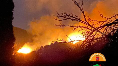 Waldbr Nde Auf Elba Menschen Evakuiert Chronik Stol It