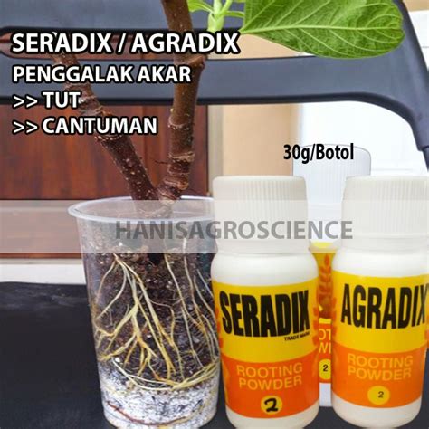 Seradix Agradix 30g Penggalak Akar Untuk Semaian Batang Cantuman