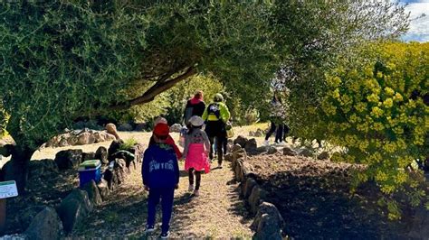 Tra Colori E Profumi Un Sabato Pomeriggio Al Giardino Botanico Del