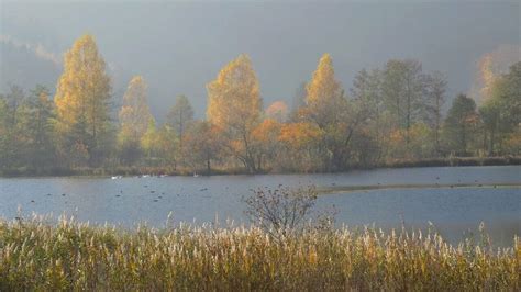 SN Fotoblog So schön ist der Herbst SN at