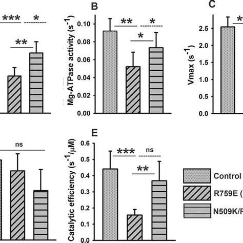 Steady State Atpase Activity Of Wild Type Control Single Mutant R E