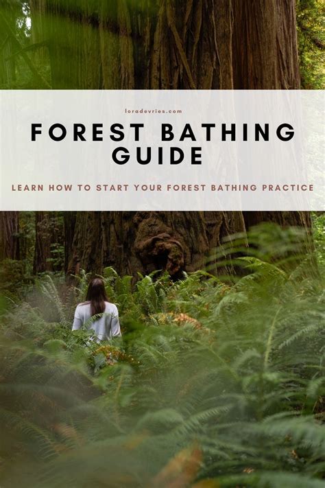 Forest Bathing Guide How To Forest Bathe And Forest Bathing Benefits