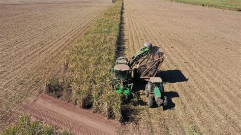 Buenas Expectativas Para El Agro Argentino Se Vislumbra Un Primer