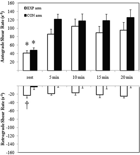 Effects Of Handgrip Training With Venous Restriction On Brachial Artery