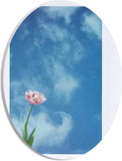 Pvc Schuimplaat Ovaal Polaroid Van Roze Bloem Onder Sluierbewolking