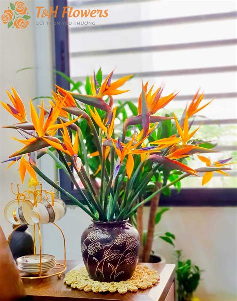 nghia hoa thien dieu bieu tuong cua tu  kieu hanh