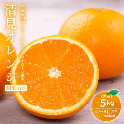 和歌山産 清見オレンジ 5kg 秀品 L〜3lサイズ混合（15〜20玉前後）【送料無料】オレンジ かんきつ 柑橘 清見 ミカン フルーツ 果物