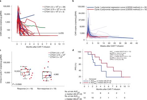 Car T Cell Expansion