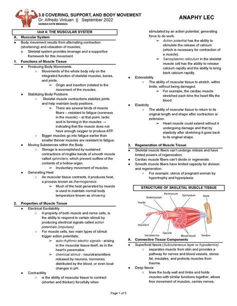 Muscular System Anaphy Lec 3 Covering Support And Body Movement