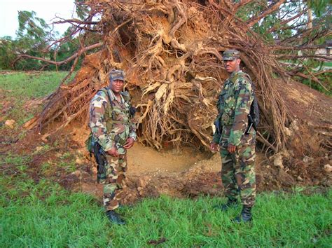 DVIDS Images Delaware National Guard Supports Operation Vigilant