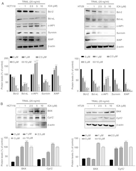 Icariin Sensitizes Human Colon Cancer Cells To Trailinduced Apoptosis