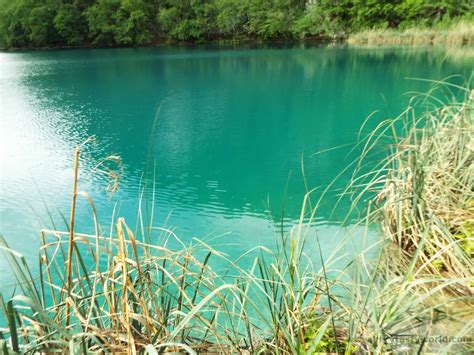 Visit Plitvice Lakes In Croatia - Very Tasty World