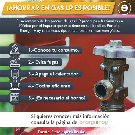 Tips Para Ahorrar En Gas Lp Sin Renunciar A Bañarte Con Agua Caliente Energía Hoy