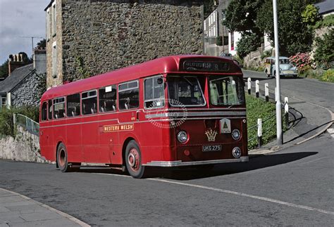 The Transport Library Western Welsh Leyland Psuc Ukg In