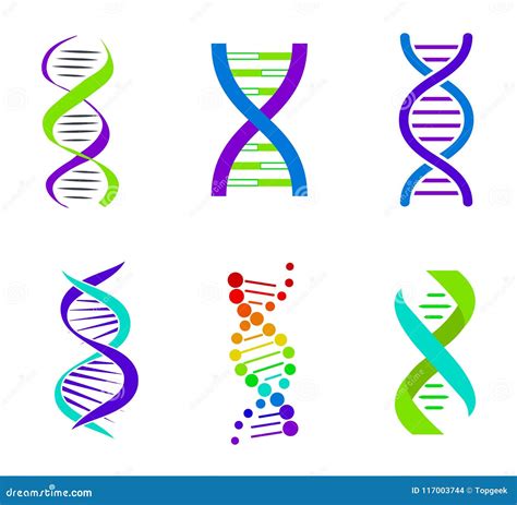 Bunte DNA Spiralen Helle Vektor Illustration Vektor Abbildung