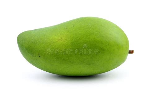 Raw green mango stock image. Image of fruit, natural - 116503167