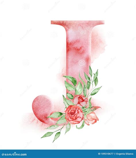 Floral Watercolor Alphabet Monogram Initial Letter J Design With Hand Drawn Peony Flower Stock