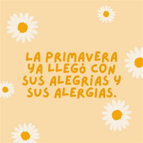 150 Frases Para Regalar Flores Amarillas Este 21 De Marzo Con Mensajes