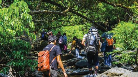 Echo of trekking tragedy at Tamil Nadu : Karnataka Forest Department ...