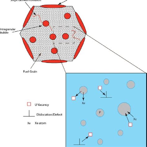 Effect Of Gas Bubble Interfacial Energies On Gas Bubble Morphology And