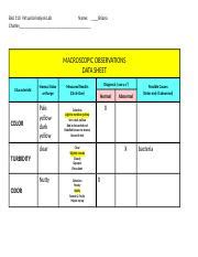 Urinalysis Data Sheets Docx Virtual Urinalysis Lab Spring