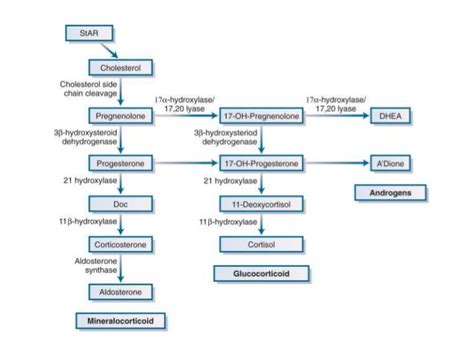 Addison Disease