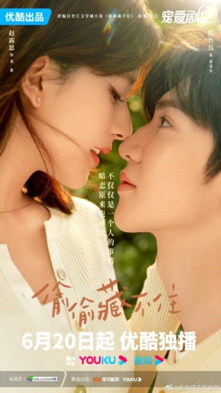 Hidden Love Ending Explained - Cnovelholic.com