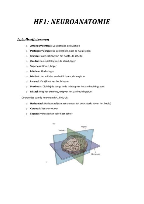 Samenvatting Neuro Hf Neuroanatomie Lokalisatietermen O Anterieur