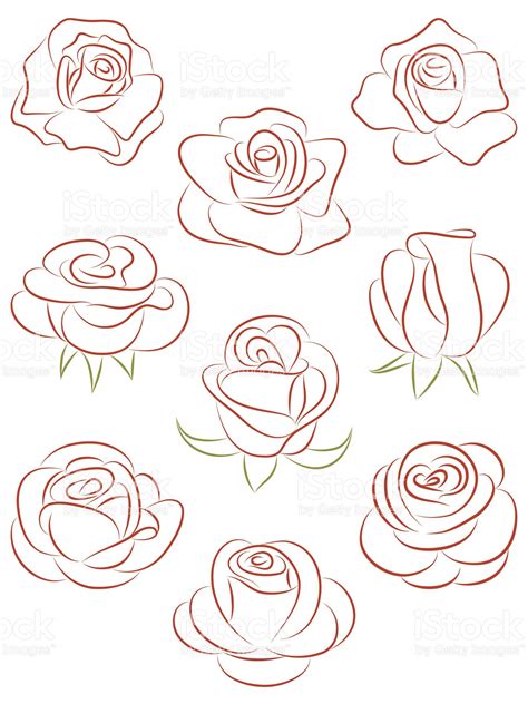 Conjunto De Rosas Ilustra O Vetorial Desen Drawings Art