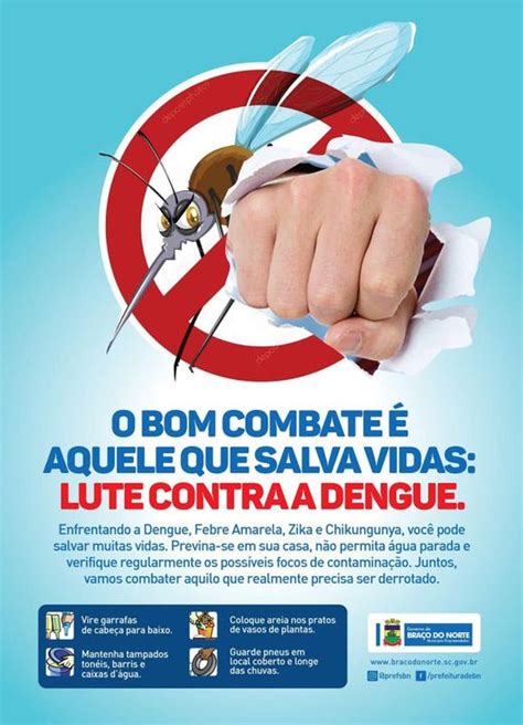 Bra O Do Norte Registra O Primeiro Caso De Dengue Aut Ctone Portal De