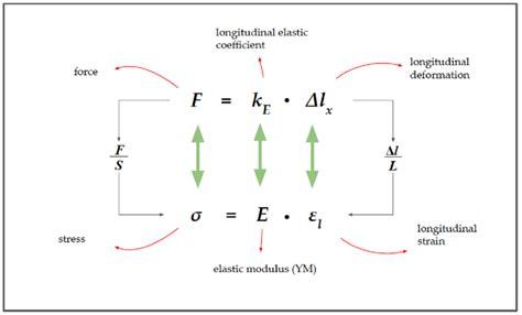 The Relationship Between Force F And Stress σ Download