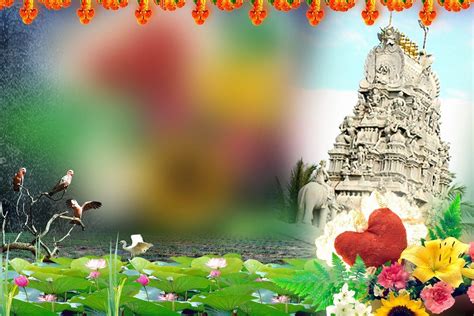 wedding album wallpapers top  wedding album backgrounds