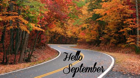 Hello September Word In Road Colorful Autumn Trees Forest Background Hd