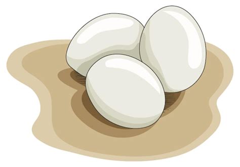 Premium Vector Three Eggs Placed In A Tray