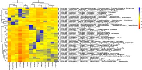 Heatmap Hierarchical Cluster Analysis Based On Differentially Abundant