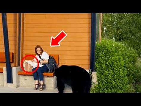 Bear Approaches Woman At Bus Stop When She Realizes Why She Decides