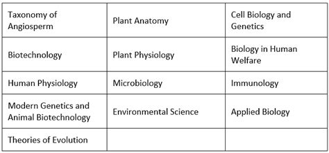 SRMJEEE 2025 Application Form Exam Dates Eligibility Pattern