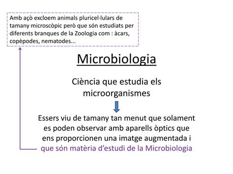 Pdf Microbiologia Classedebio Files Wordpress Microbiologia